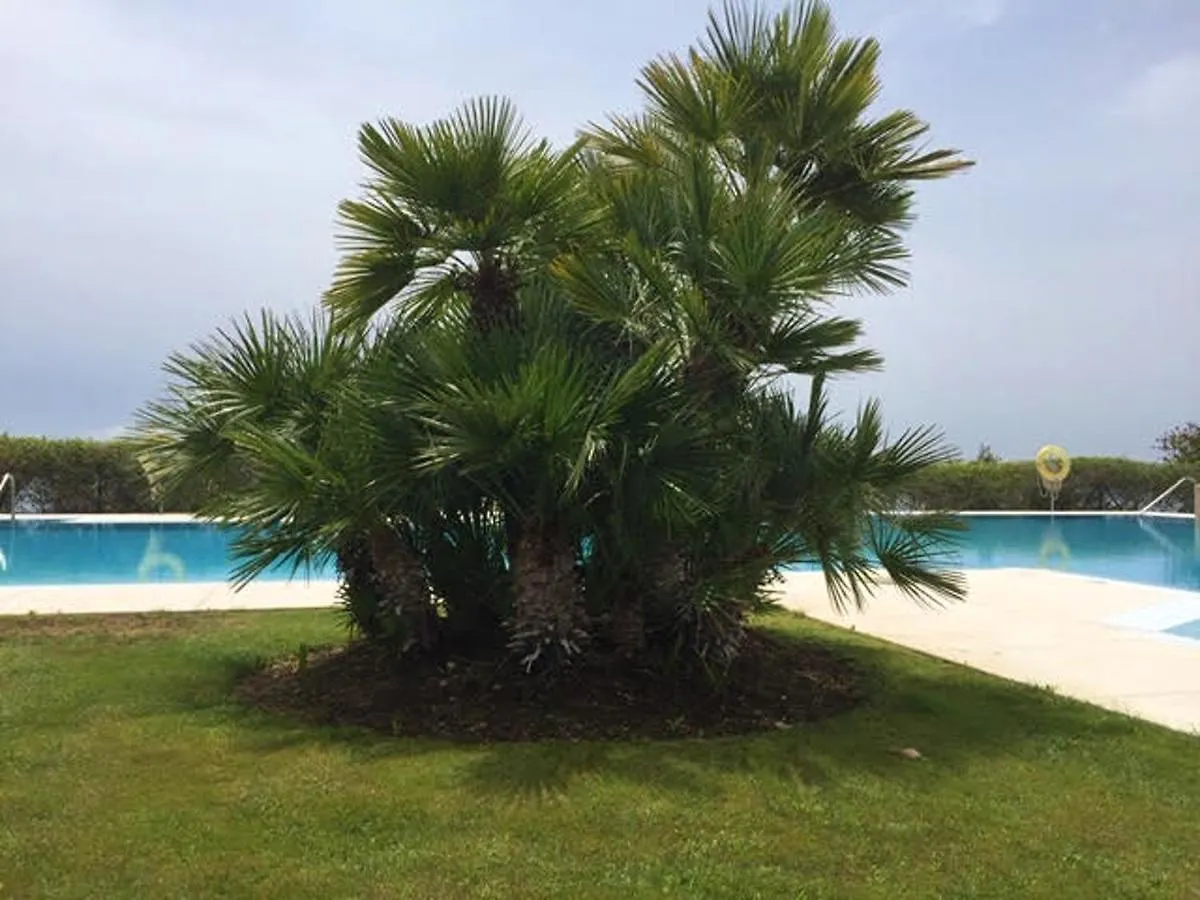 בנאלמדנה Apartment Calle Teide